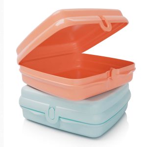 Tupperware? Sandwich Keepers - 2 Easy-Open Lunch Boxes for Kids