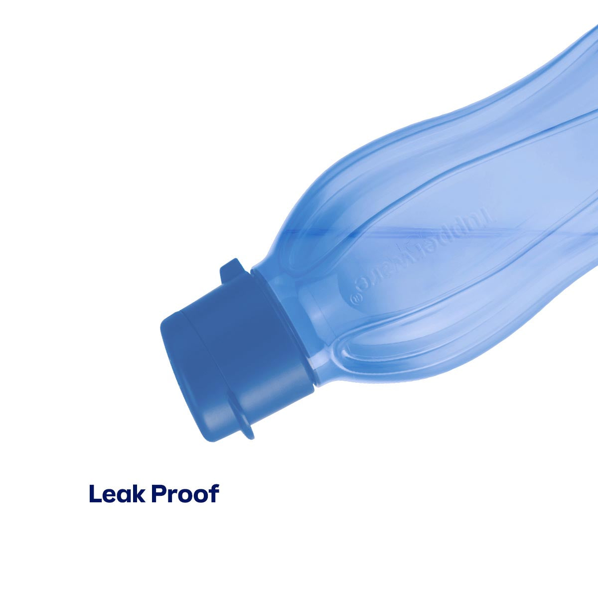 Eco+ Bottle | Small - Image 3