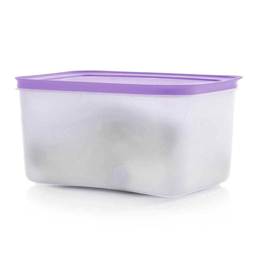 Tupperware? Freezer Mates? PLUS Medium Deep | Food Storage Container